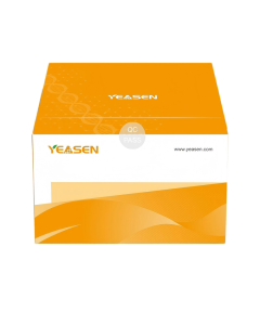 96-well Deep Well Plate, U-bottom (1.3 mL) _ 83672ES yeasen