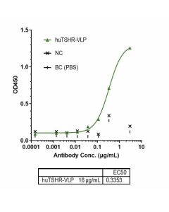 Recombinant Human TSHR Protein-VLP _ 95030ES yeasen