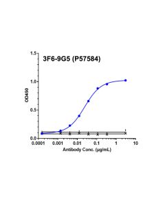 Recombinant Human A2AR Protein-VLP _ 95033ES yeasen