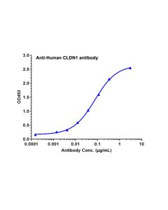 Recombinant Human CLDN1/Claudin-1 Protein-VLP _ 95039ES yeasen