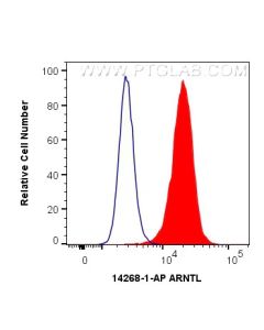 BMAL1 Polyclonal antibody 14268-1-AP proteintech