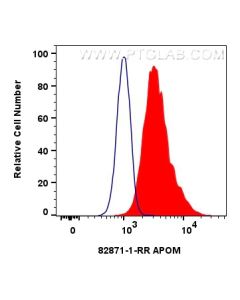 APOM Recombinant monoclonal antibody 82871-1-RR proteintech