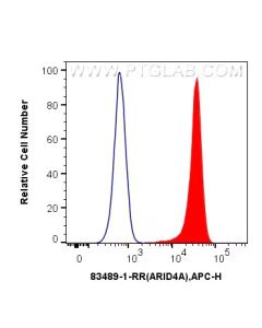 ARID4A Recombinant monoclonal antibody 83489-1-RR proteintech