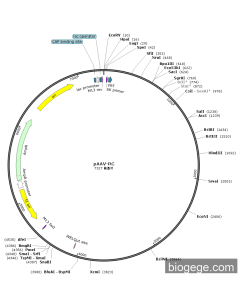 pAAV-RC PL84940 MiaoLingBio