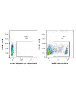 Anti-Rat CD4 Rabbit Recombinant Antibody Proteintech  98252-1-RR