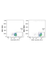 Anti-Human CD44 (F10-44-2) Proteintech  65063-1-Ig