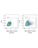 Anti-Mouse MCP-1/CCL2 Rabbit Recombinant Antibody Proteintech  98028-1-RR