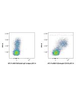 FcZero-rAb? APC Anti-Human Endoglin/CD105 Rabbit Recombinant Antibody Proteintech  APC-FcA98013