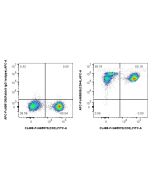 FcZero-rAb? APC Anti-Human CD44 (F10-44-2) Rabbit IgG Recombinant Antibody Proteintech  APC-FcA65608