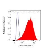 DGKA Polyclonal antibody 11547-1-AP proteintech