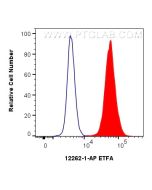 ETFA Polyclonal antibody, PBS Only 12262-1-PBS proteintech