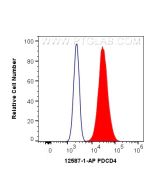 PDCD4 Polyclonal antibody 12587-1-AP proteintech