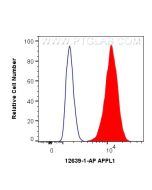 APPL1 Polyclonal antibody 12639-1-AP proteintech