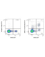 Anti-Mouse CD94 (18D3) Rat IgG2a Recombinant Antibody Proteintech  65668-1-TR