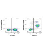 Anti-Mouse Ly-6C (HK1.4) Rat IgG2a Recombinant Antibody Proteintech  65669-1-TR