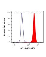 PARP1 Polyclonal antibody 13371-1-AP proteintech