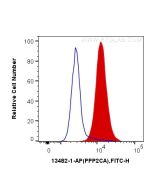 PPP2CA Polyclonal antibody 13482-1-AP proteintech