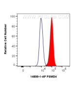 PSMD4 Polyclonal antibody 14899-1-AP proteintech