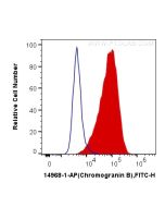 Chromogranin B Polyclonal antibody 14968-1-AP proteintech