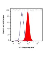 WDR46 Polyclonal antibody 15110-1-AP proteintech