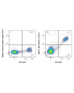 Anti-Human CD64 (10.1) Mouse IgG2a Recombinant Antibody Proteintech  65572-1-MR