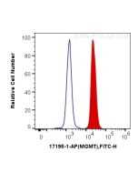 MGMT Polyclonal antibody 17195-1-AP proteintech