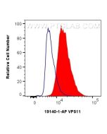 VPS11 Polyclonal antibody 19140-1-AP proteintech