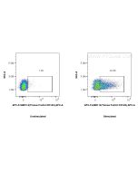 FcZero-rAb? APC Anti-Mouse Tissue Factor/CD142 Rabbit Recombinant Antibody Proteintech  APC-FcA98114