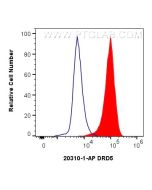 DRD5 Polyclonal antibody 20310-1-AP proteintech