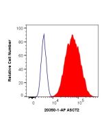 SLC1A5/ASCT2 Polyclonal antibody 20350-1-AP proteintech