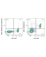 Anti-Human INSR/CD220 Rabbit Recombinant Antibody Proteintech  98227-1-RR