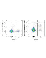 Anti-Human IL-4RA/CD124 Rabbit Recombinant Antibody Proteintech  98203-1-RR