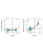 Anti-Human CD11b (ICRF44) Mouse IgG2a Recombinant Antibody Proteintech  65582-1-MR