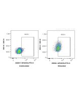 iNOS Polyclonal antibody 22226-1-AP proteintech