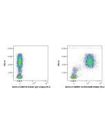FcZero-rAb? Biotin Anti-Human CEACAM8/CD66b Rabbit Recombinant Antibody Proteintech  Biotin-FcA98507-2
