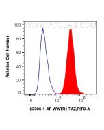 WWTR1/TAZ Polyclonal antibody 23306-1-AP proteintech