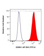 IDH1 Polyclonal antibody 23309-1-AP proteintech