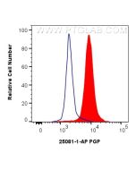 PGP Polyclonal antibody 25081-1-AP proteintech