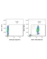 Anti-Human LILRA6/CD85b Rabbit Recombinant Antibody Proteintech  98479-1-RR