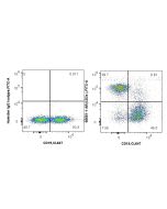 Anti-Mouse CD3e (145-2C11) Armenian Hamster IgG2a Recombinant Antibody Proteintech  65651-1-AR