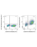 FcZero-rAb? APC Anti-Mouse CD79a Rabbit Recombinant Antibody Proteintech  APC-FcA98129