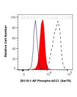 Phospho-ACC1 (Ser79) Polyclonal antibody 29119-1-AP proteintech