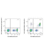 FcZero-rAb? APC Anti-Human TREM-1/CD354 Rabbit Recombinant Antibody Proteintech  APC-FcA98154