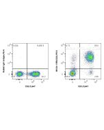 Anti-Human CD2 Rabbit Recombinant Antibody Proteintech  98134-1-RR