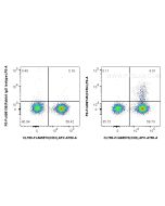 FcZero-rAb? PE Anti-Human CCR4 Rabbit Recombinant Antibody Proteintech  PE-FcA98745
