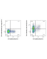 FcZero-rAb? APC Anti-Human IL-18R1/CD218a Rabbit Recombinant Antibody Proteintech  APC-FcA98150
