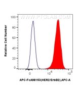 FcZero-rAb? APC Anti-Mouse HER2/ErbB2 Rabbit Recombinant Antibody Proteintech  APC-FcA98153