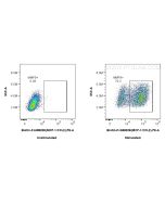 FcZero-rAb? Biotin Anti-Mouse MCP-1/CCL2 Rabbit Recombinant Antibody Proteintech  Biotin-FcA98028
