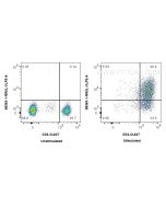 Anti-Human IL-3 Rabbit Recombinant Antibody Proteintech  98363-1-RR
