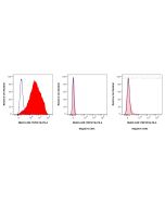 Anti-Human TNFSF18 Rabbit Recombinant Antibody Proteintech  98403-3-RR